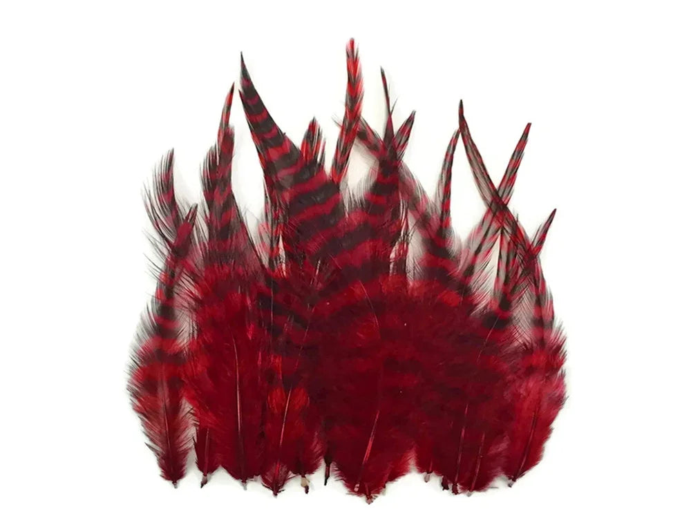 Vibrant red and black striped craft feathers for DIY fashion and decor.