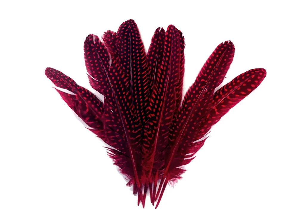 Vibrant burgundy patterned feathers for crafts and fashion DIY supplies.