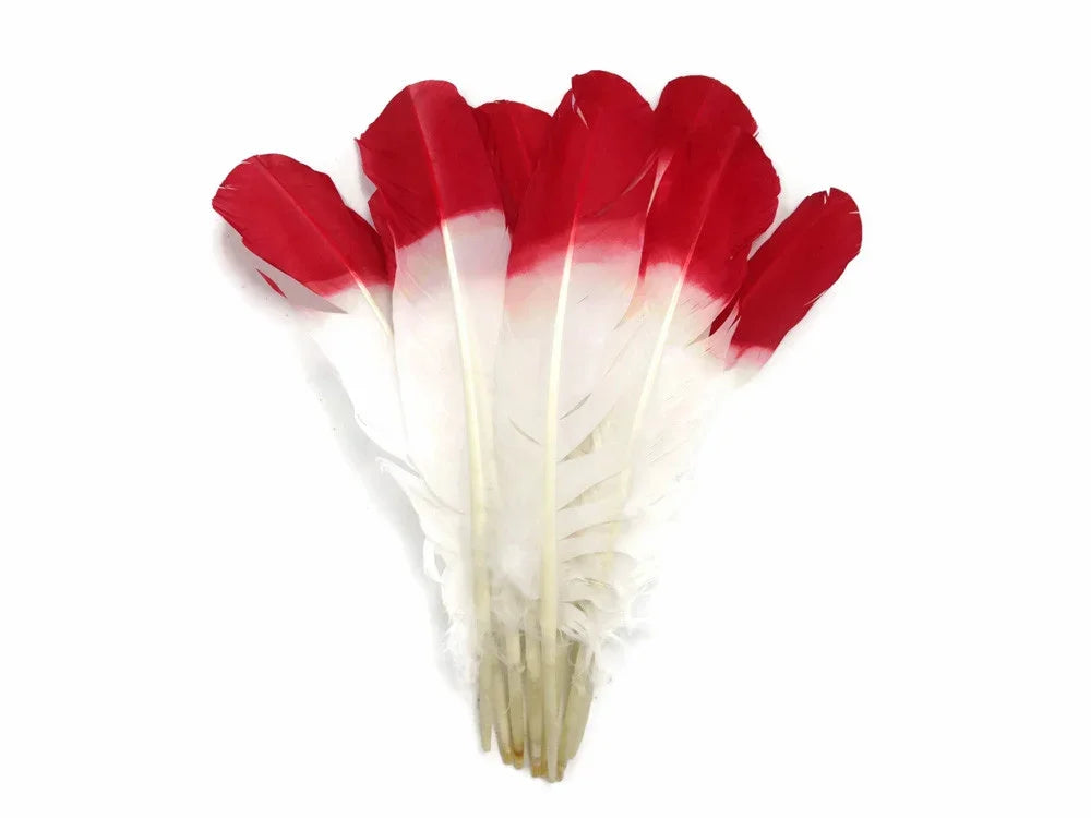 Bundle of vibrant red and white dyed feathers for DIY crafts and fashion decor