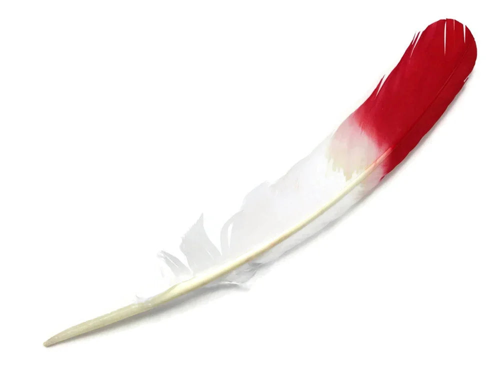 Red and white dyed craft feather for DIY fashion and decor accessories.