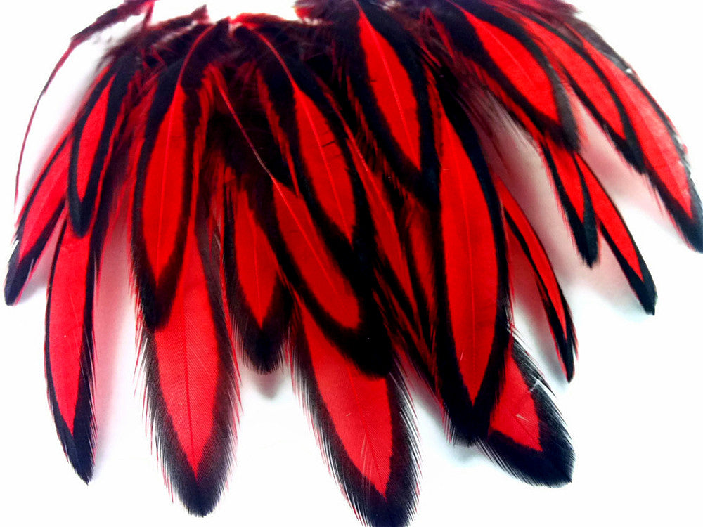 1 Dozen - Red Whiting Farms BLW Laced Hen Cape Loose Feathers