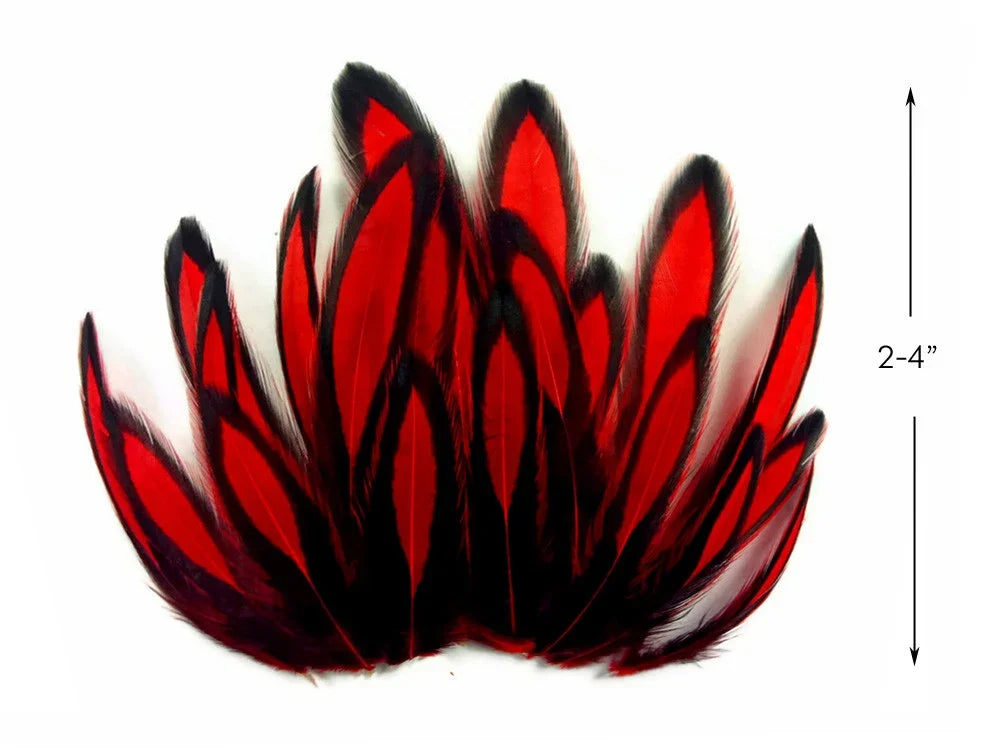 Vibrant red and black feathers for DIY crafts and fashion decor, 2-4 inches long.