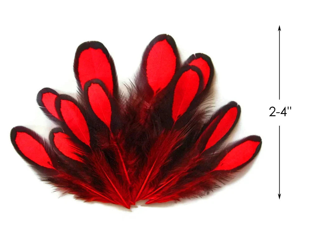 Vibrant red and black feathers for DIY crafts and fashion decor, 2-4 inches in length.