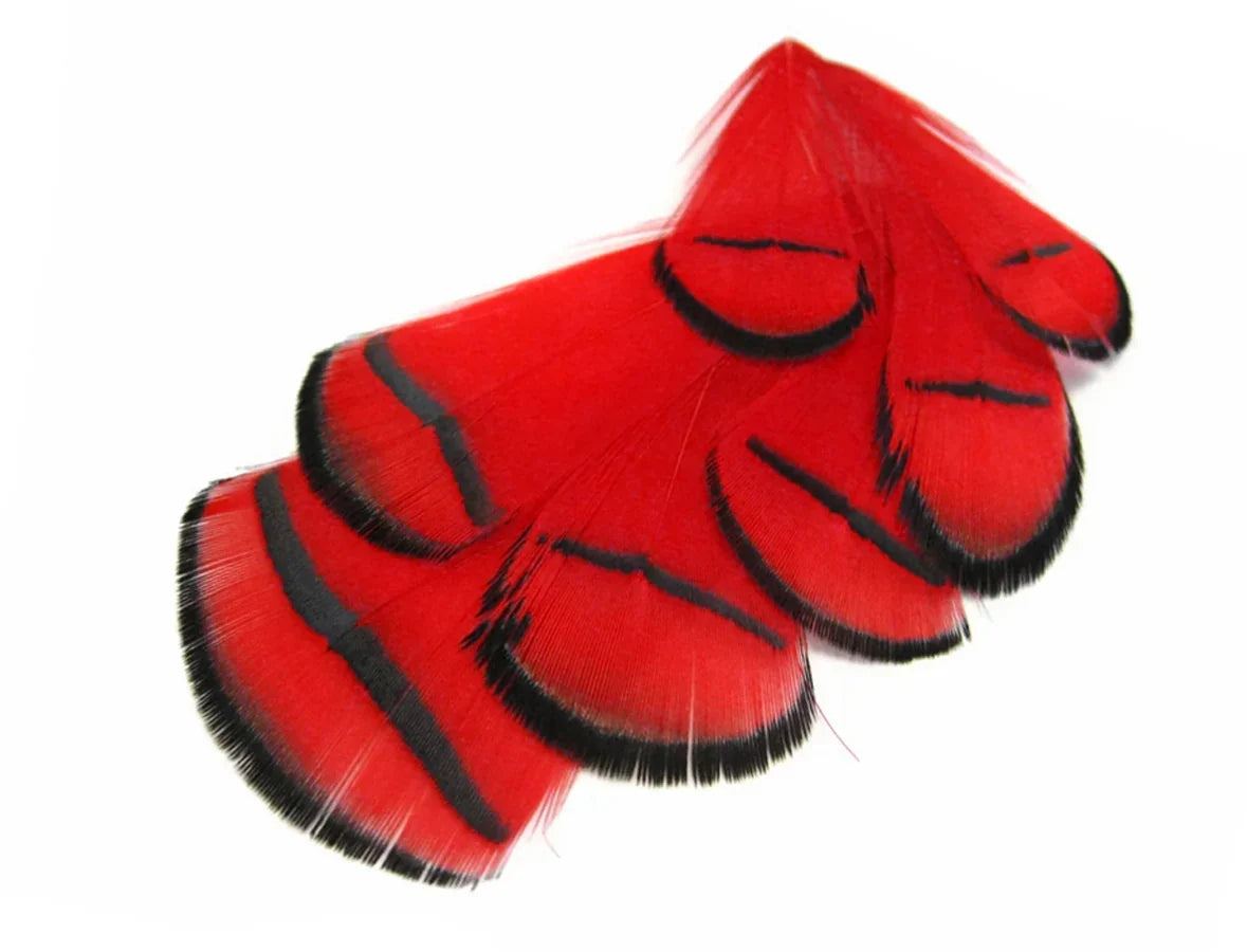Vibrant red craft feathers with black striped patterns on a white background