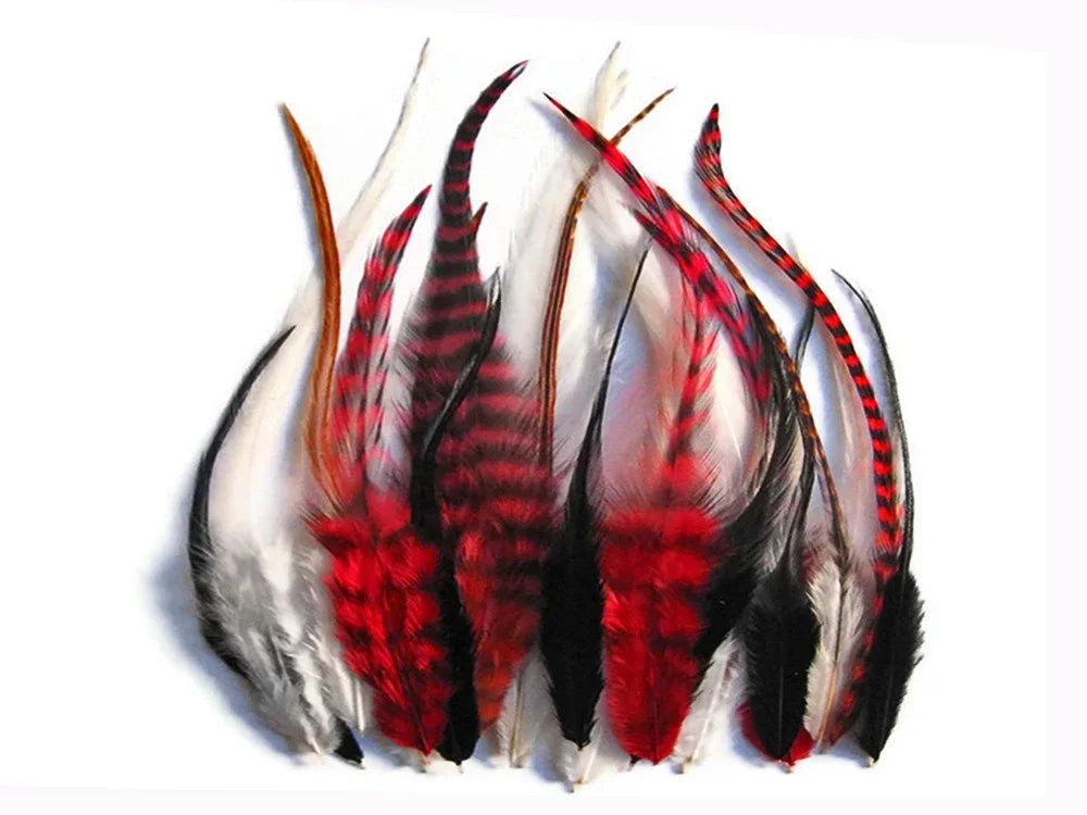 Assorted vibrant red, black, and white decorative feathers for crafts and fashion DIY.