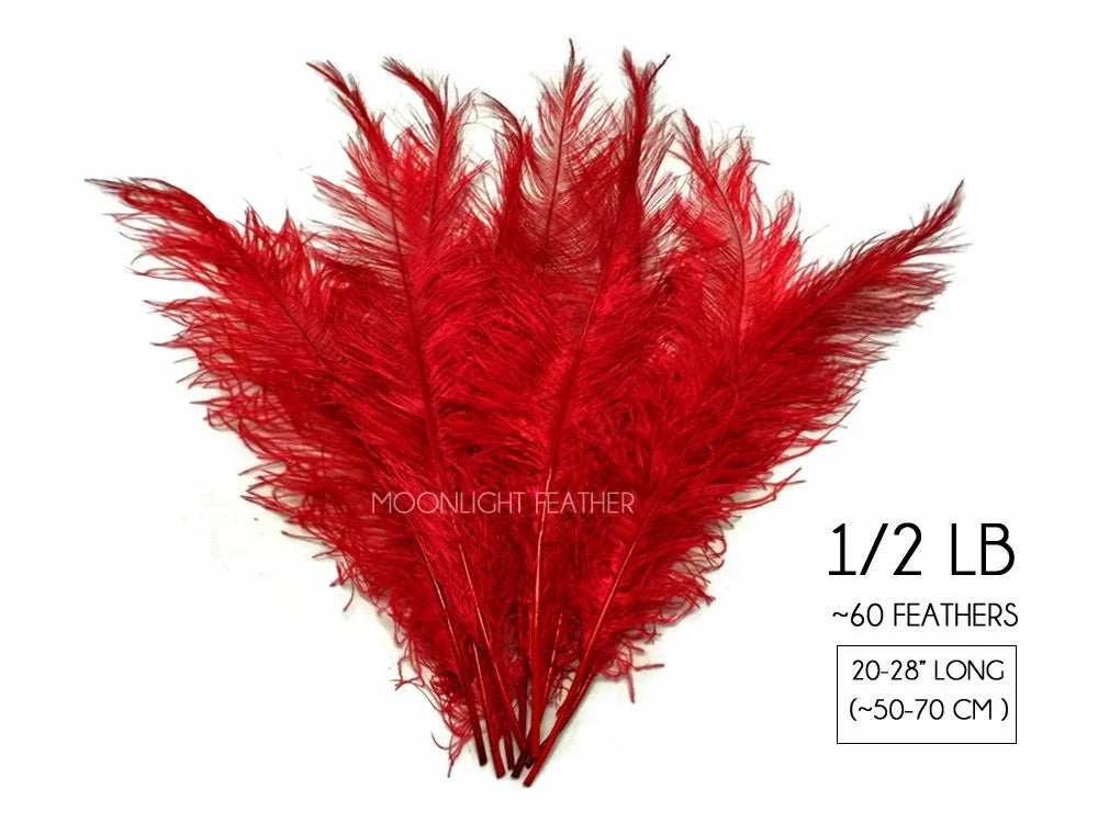 Vibrant red ostrich feathers for DIY crafts and fashion decor, 20-28 inches long.