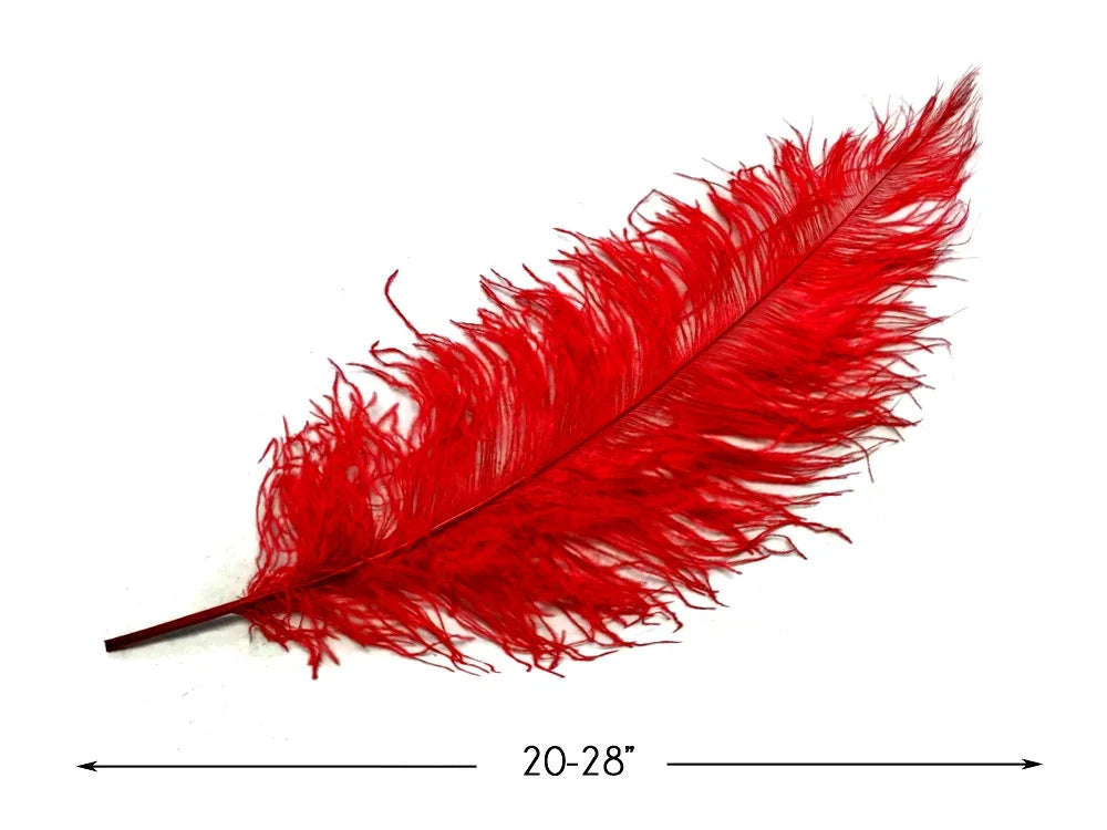 Vibrant red ostrich feather for crafts and fashion decor, 20-28 inches long.