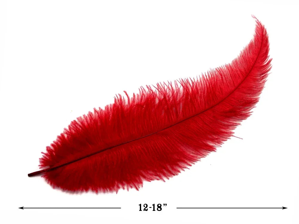 Large vibrant red ostrich feather for DIY crafts and fashion decor, 12-18 inches long.