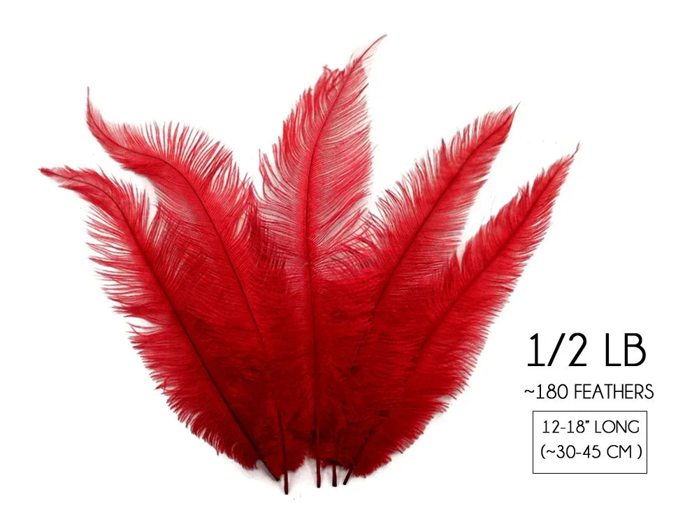 Bundle of 180 vibrant red ostrich feathers, 12-18 inches long, for crafts and fashion decor.
