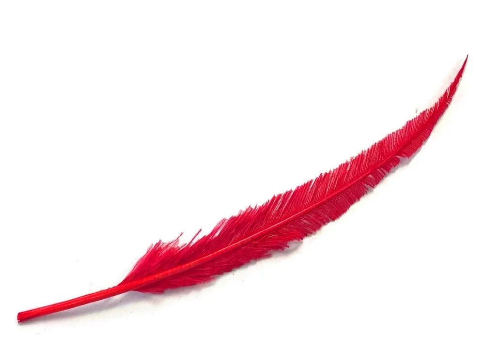 Vibrant red feather for DIY crafts, fashion accessories, and creative décor.