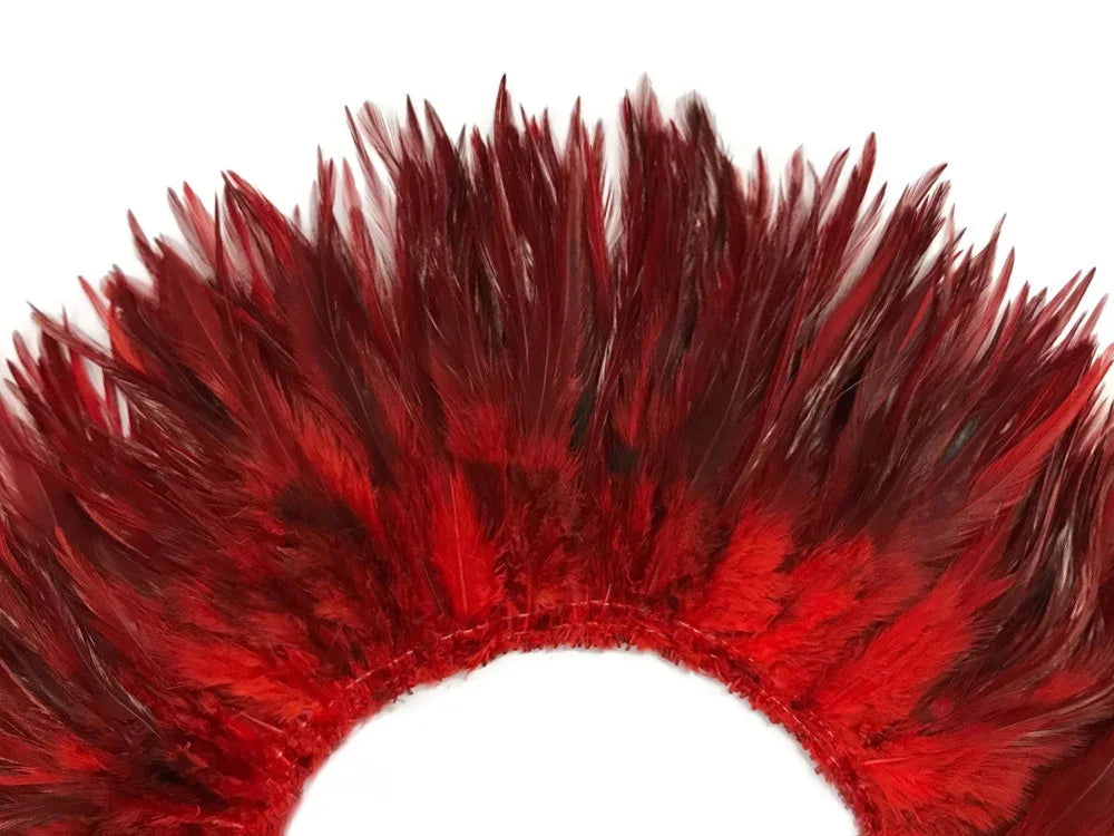 Vibrant red and burgundy feathers arranged in a decorative fan shape for crafts and fashion.
