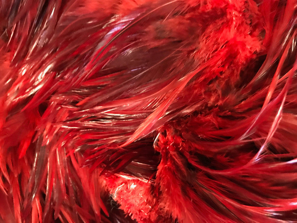 4 Inch Strip - 6-7" Red Dyed Over Natural Strung Chinese Rooster Saddle Feathers