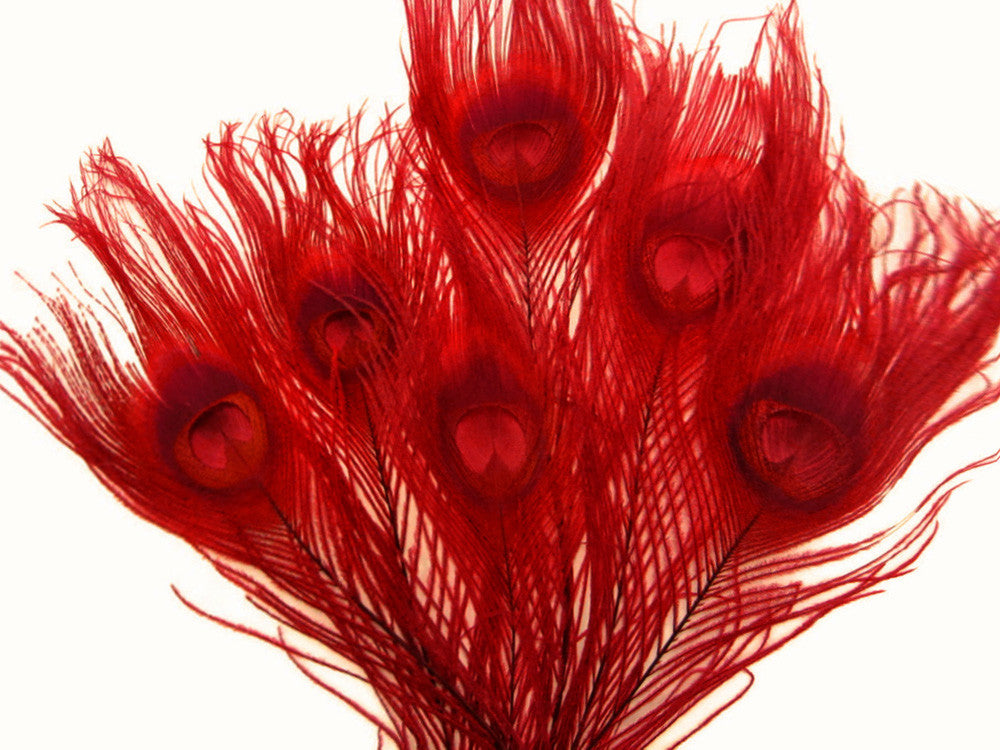 50 Pieces – Red Bleached & Dyed Peacock Tail Eye Wholesale Feathers (Bulk) 10-12” Long