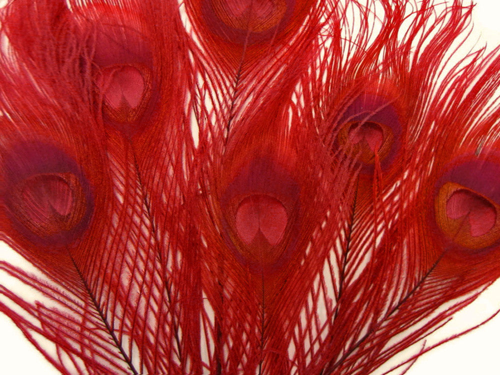 5 Pieces – Red Bleached & Dyed Peacock Tail Eye Feathers 10-12” Long