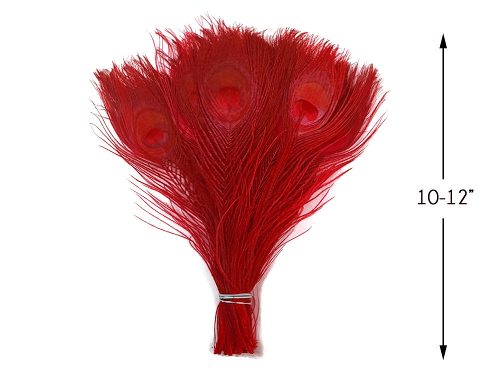 5 Pieces – Red Bleached & Dyed Peacock Tail Eye Feathers 10-12” Long