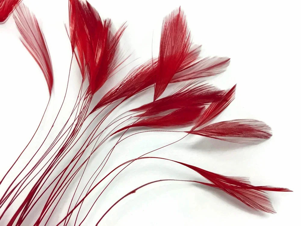 Vibrant red decorative feathers for DIY crafts and fashion accessories on a white background.