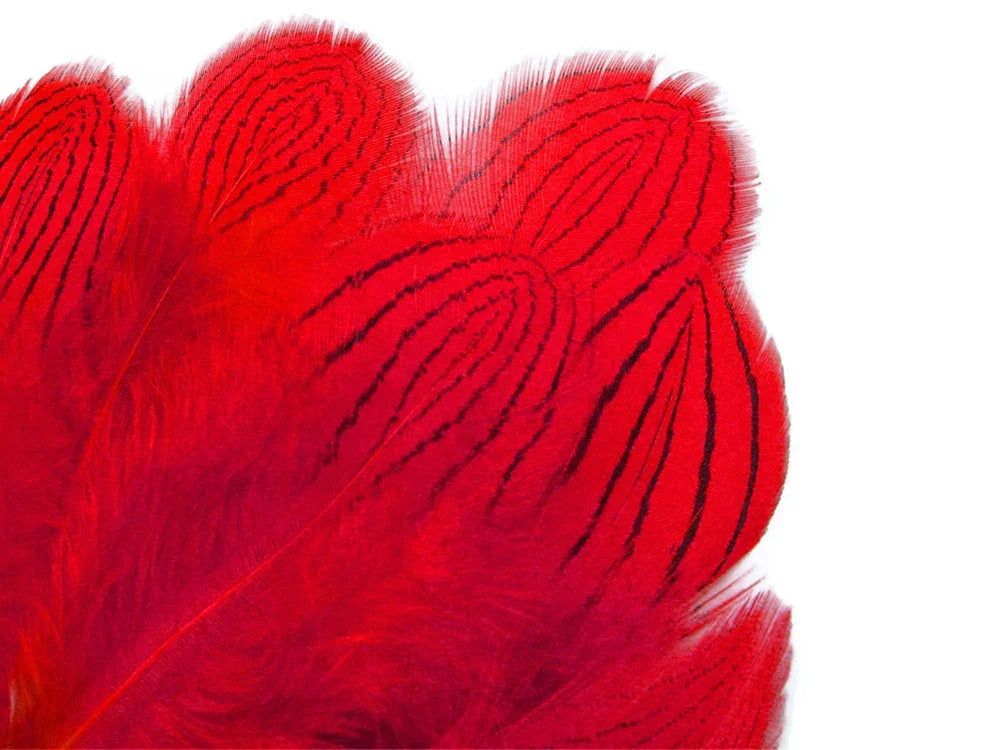 Vibrant red feathers with black striped patterns for craft and fashion DIY supplies.