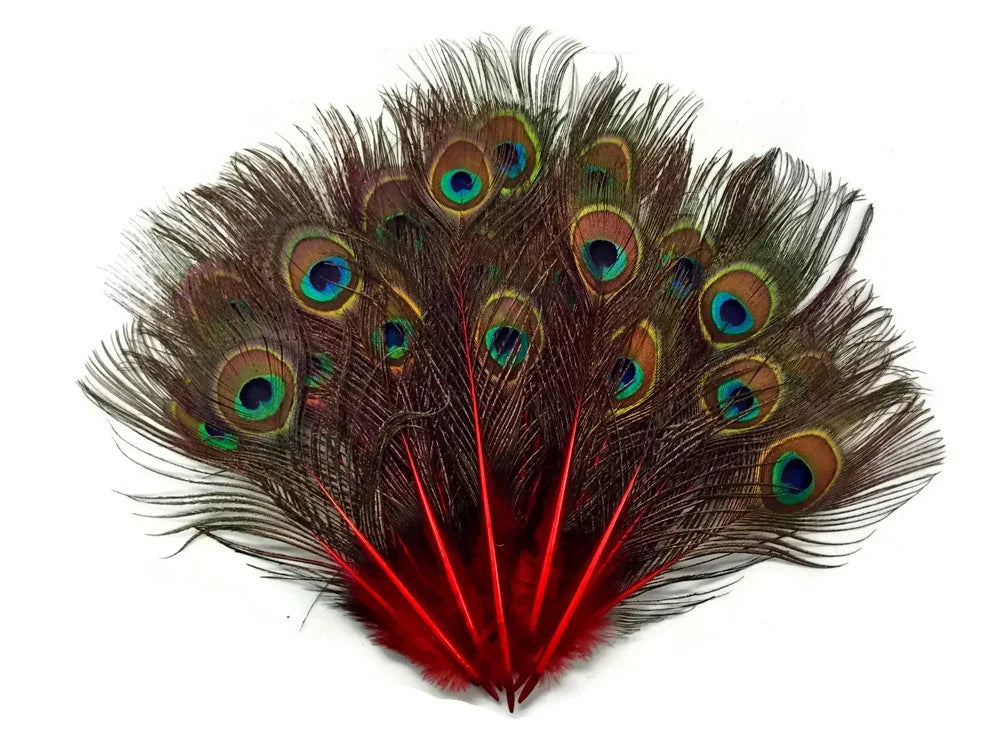 Vibrant peacock feathers with colorful eyes and bright red stems for DIY crafts and decor.