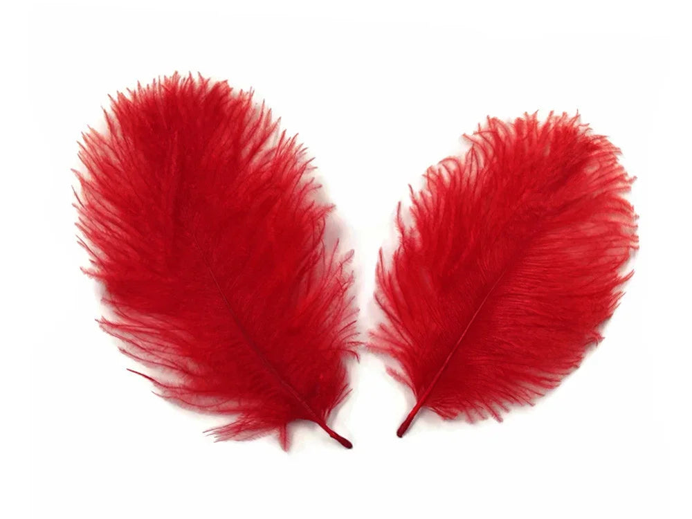 Two vibrant red decorative feathers for DIY crafts and fashion accessories.
