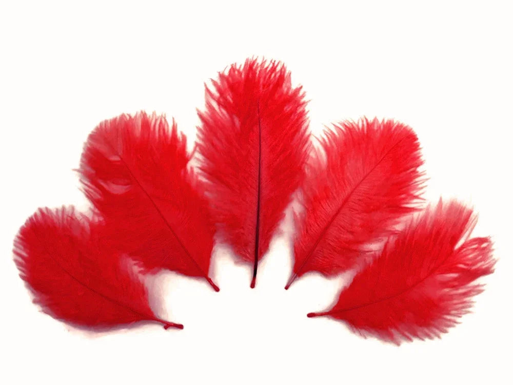 Five vibrant red craft feathers arranged in a fan shape on a white background.