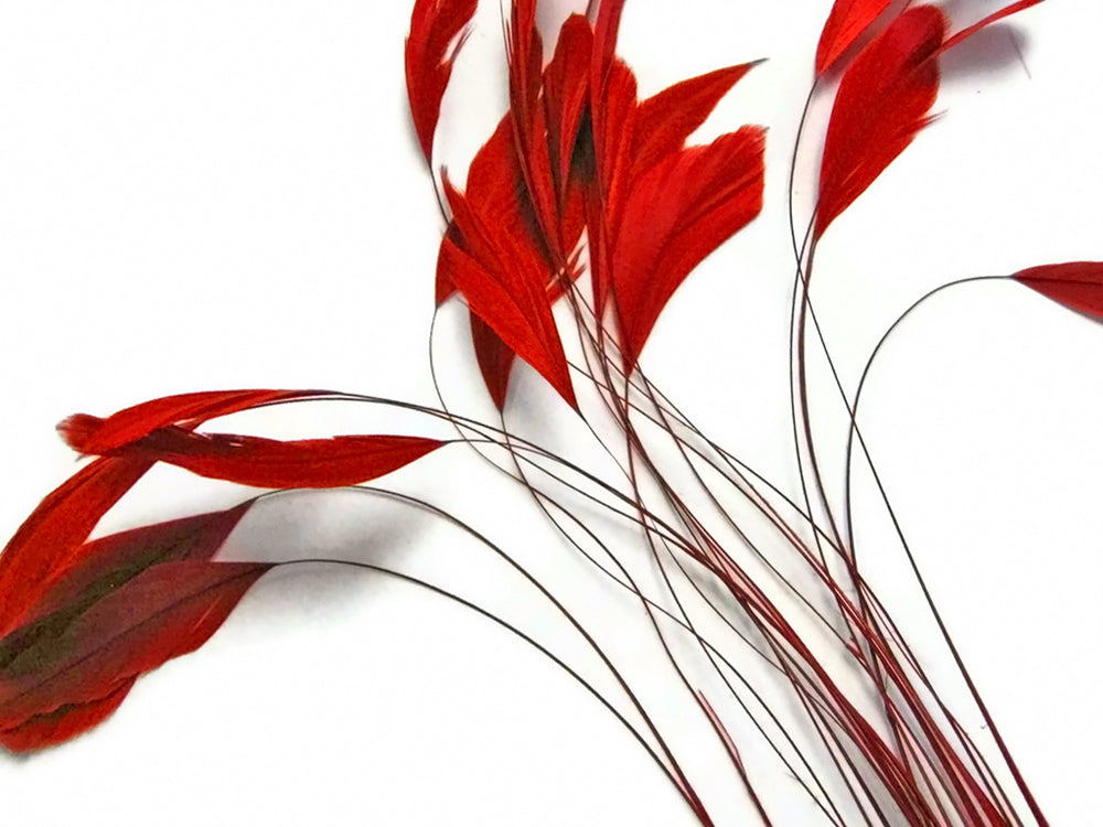 1 Yard - Red Stripped Coque Tail Feathers Wholesale Trim (Bulk)