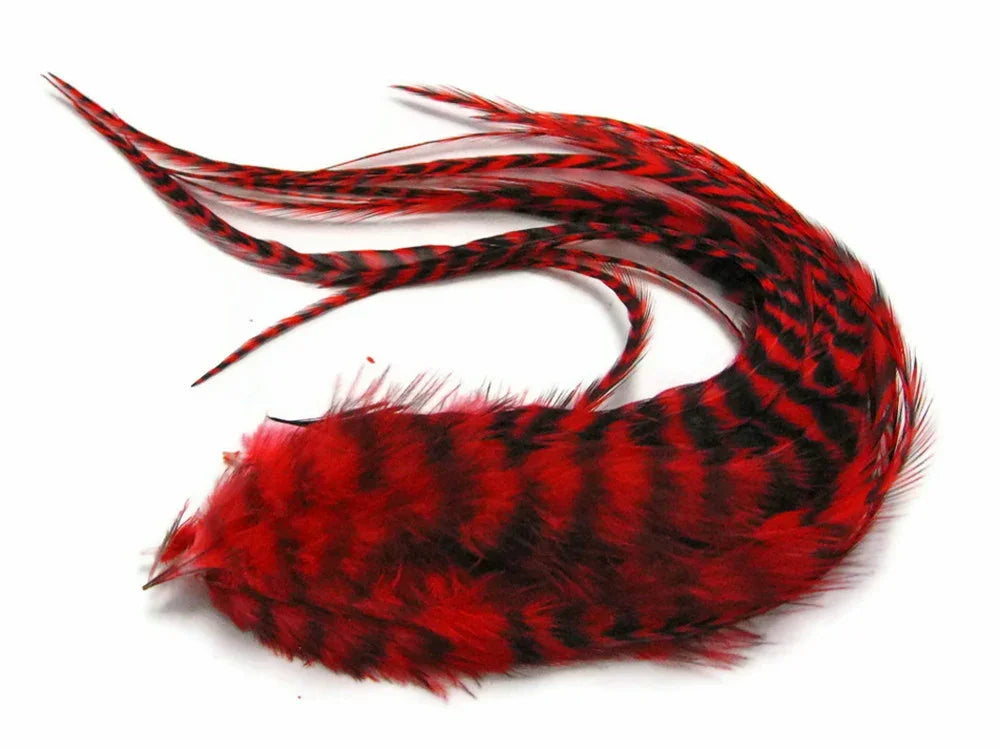 Vibrant red and black patterned feathers for DIY crafts and fashion decor.