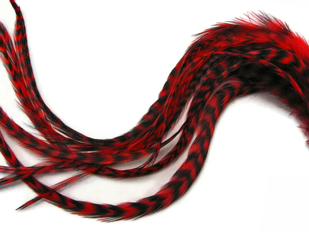 Vibrant red and black patterned feathers for DIY crafts and fashion accessories.