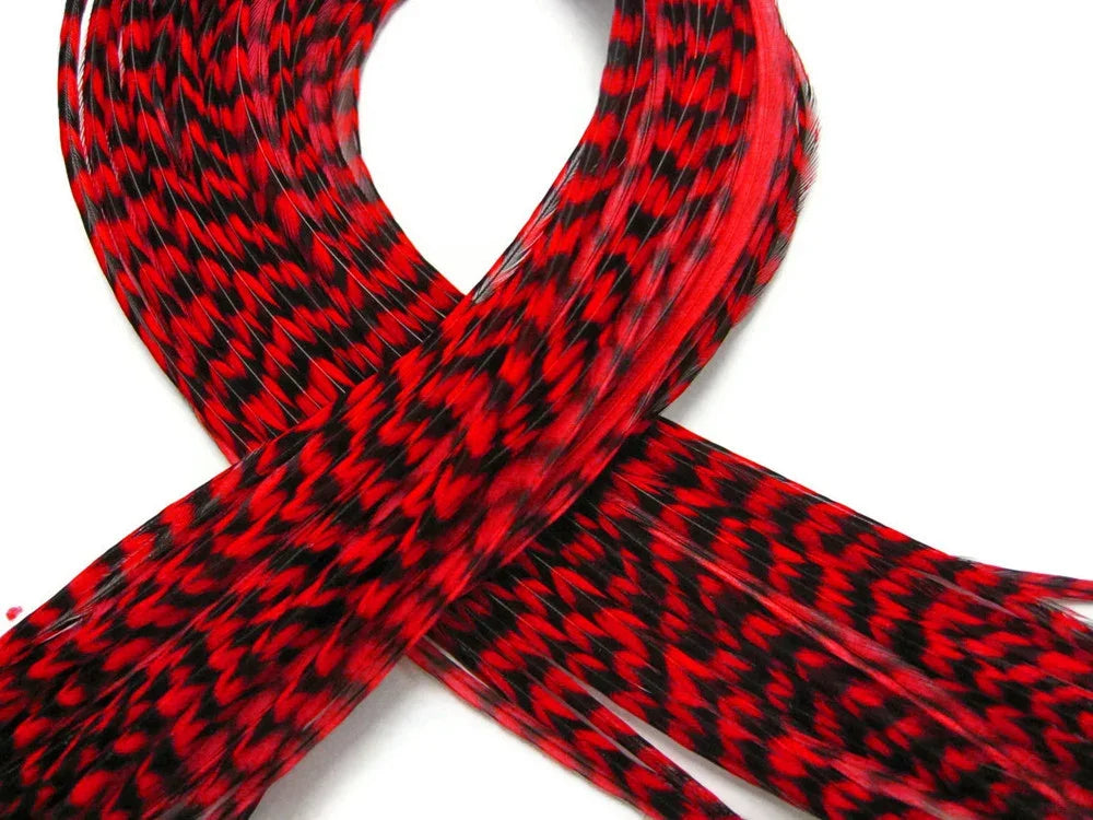 Red and black patterned craft feathers for DIY fashion and decor.