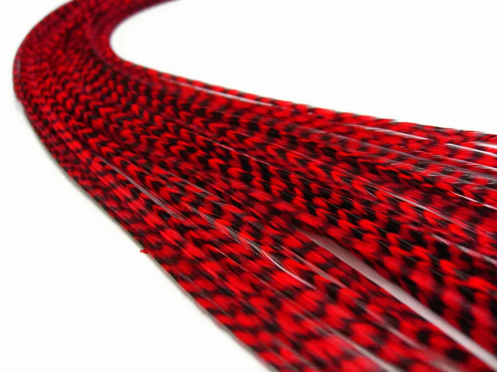Red and black patterned craft feathers for DIY fashion and hair accessories.