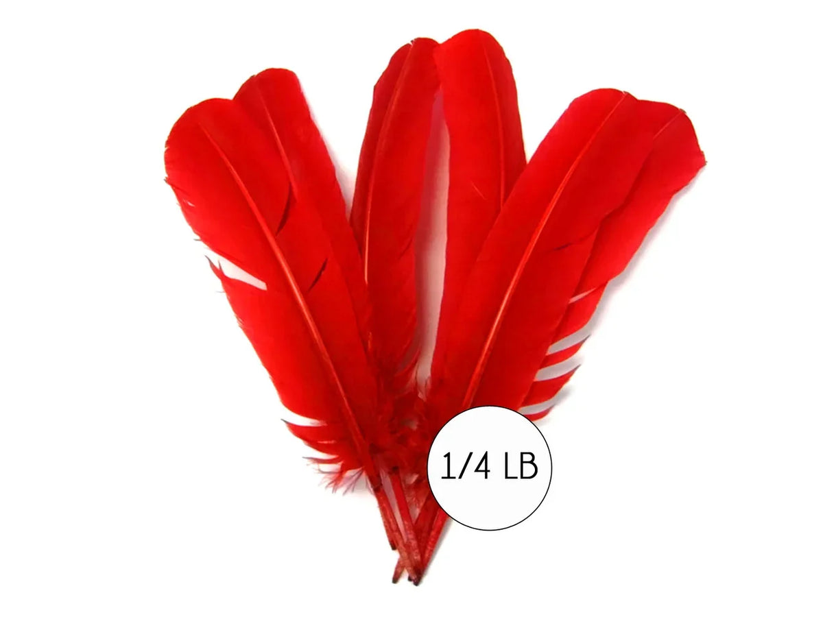 Vibrant red craft feathers for DIY fashion and decor, 1/4 lb bulk pack.