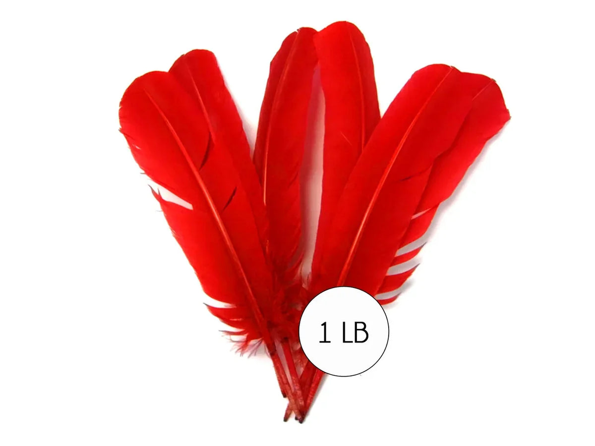 Vibrant red craft feathers for DIY fashion and decor, 1 lb bulk pack.