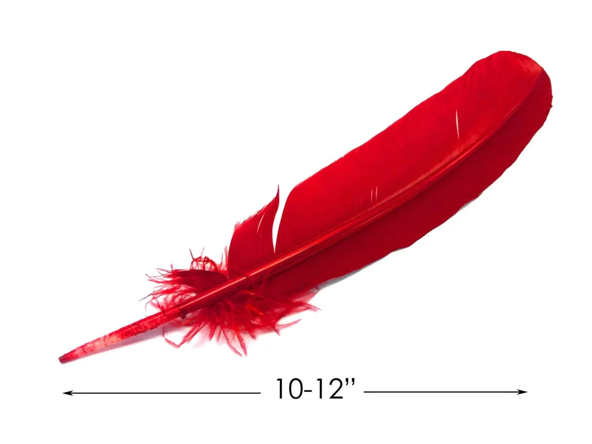Single vibrant red craft feather, 10-12 inches long, for DIY fashion and decor.