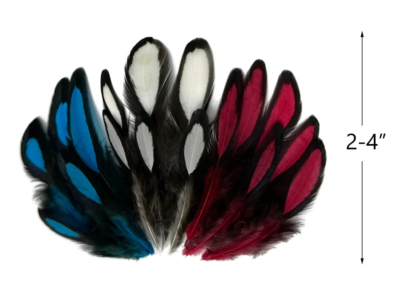Assorted blue, white, and red craft feathers for DIY fashion and decor, 2-4 inches.