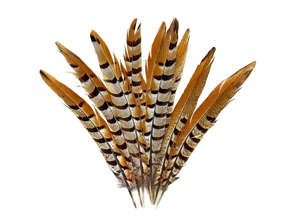 10 Pieces - 16-18" Natural Brown Reeves Venery Pheasant Tail Feathers