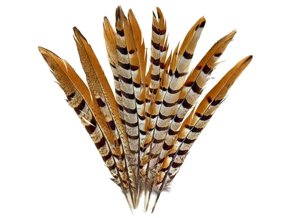 10 Pieces - 35-40" Natural Brown Reeves Venery Pheasant Super Long Tail Feathers