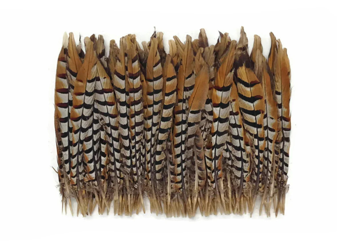 10 Pieces - 14-16" Natural Brown Reeves Venery Pheasant Tail Feathers