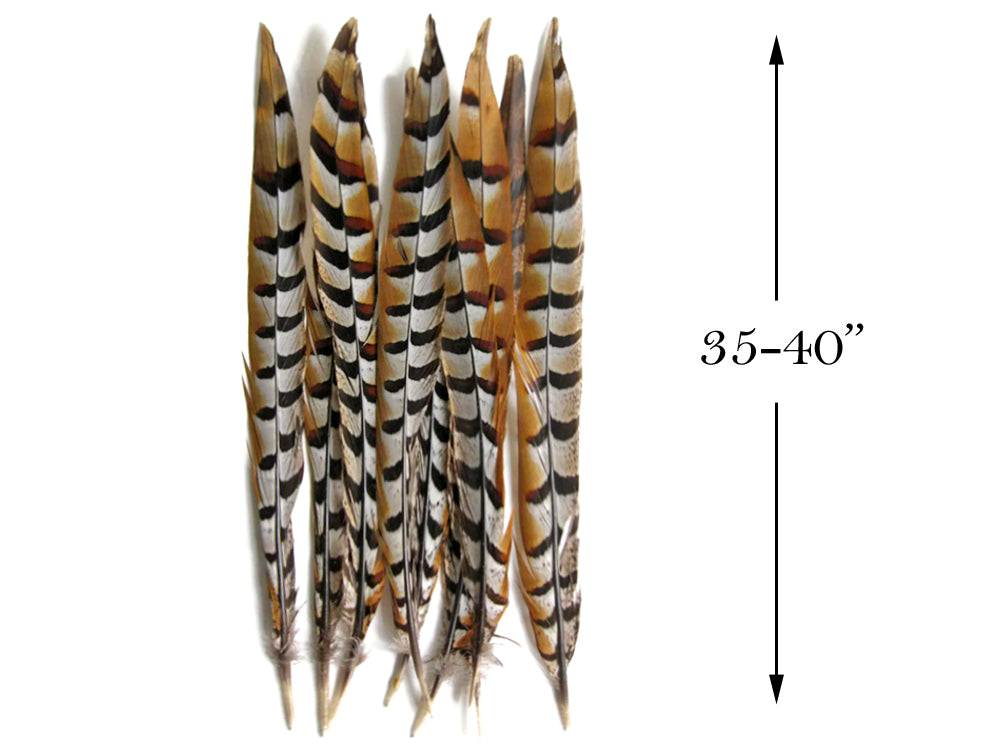 10 Pieces - 35-40" Natural Reeves Venery Pheasant Super Long Tail Feathers