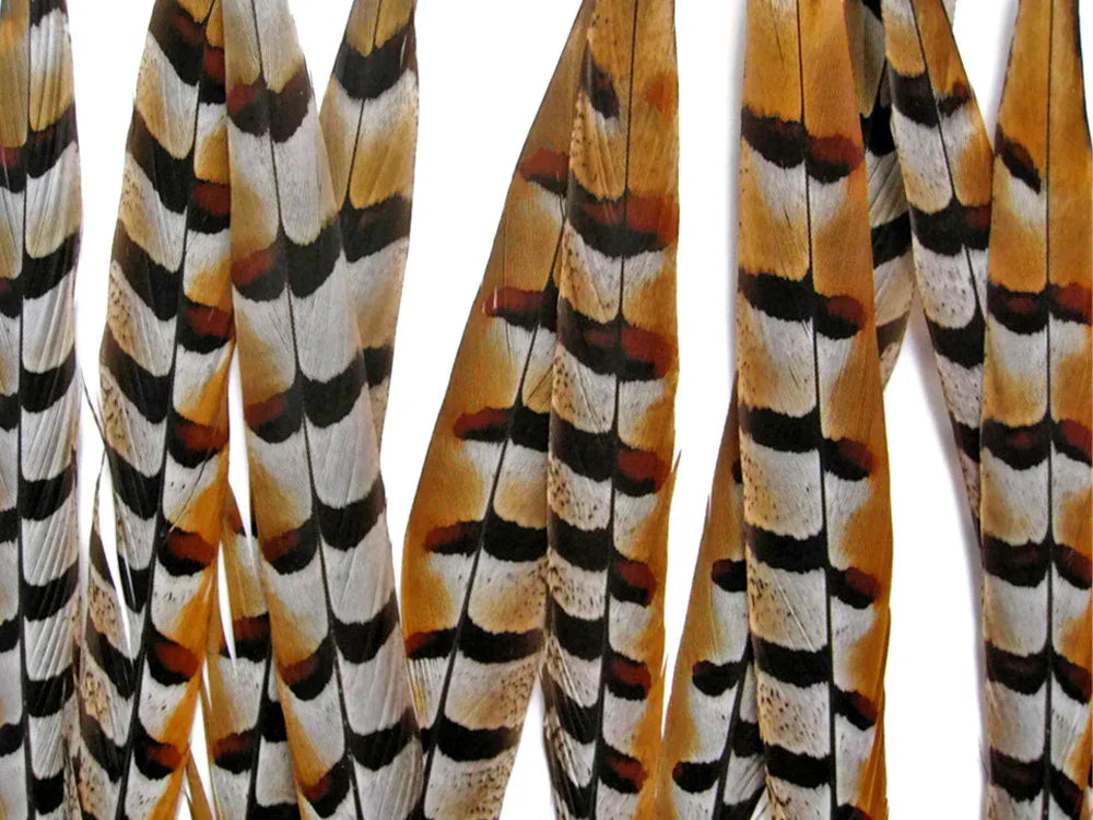 10 Pieces - 10-12" Natural Reeves Venery Pheasant Tail Feathers