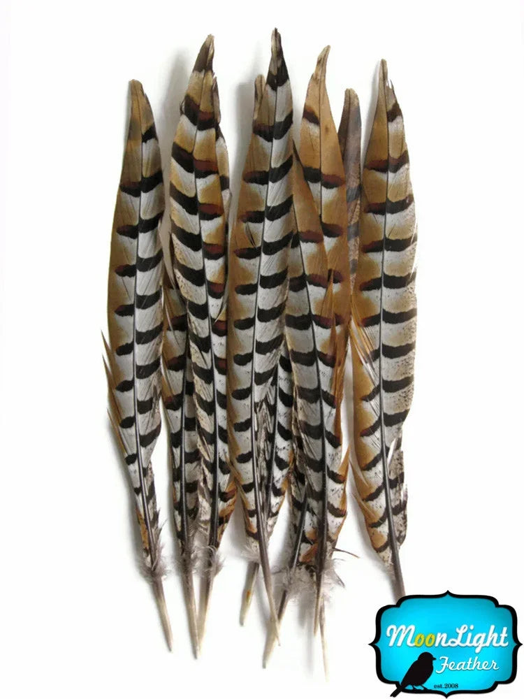 Natural patterned brown and white striped feathers for DIY crafts and fashion decor.