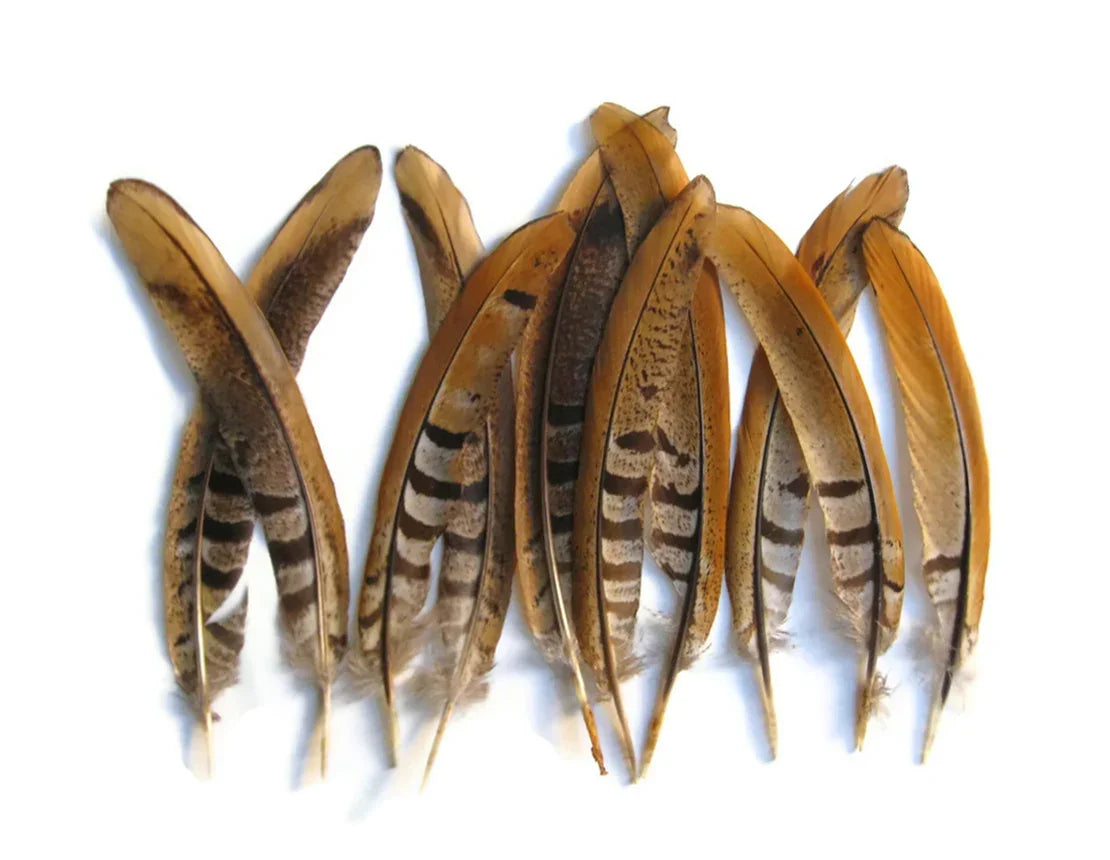 50 Pieces - 8-10" Natural Reeves Venery Pheasant Tail Wholesale Feathers (Bulk)