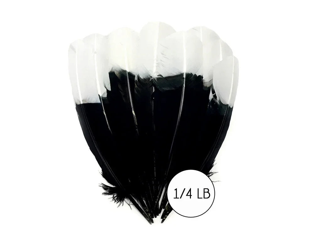 Bundle of black and white dual-color feathers for crafts and fashion DIY supplies.