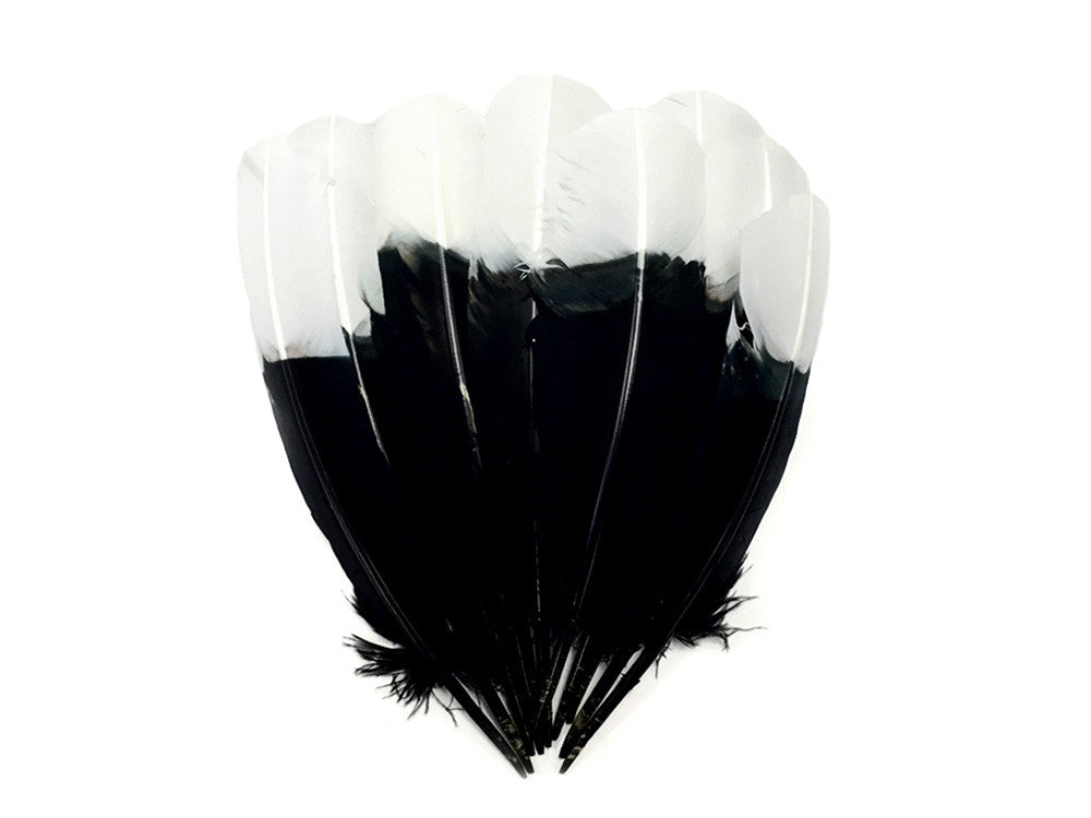 6 Pieces - White Tipped "Imitation Eagle" Turkey Tom Rounds Secondary Wing Quill Feathers