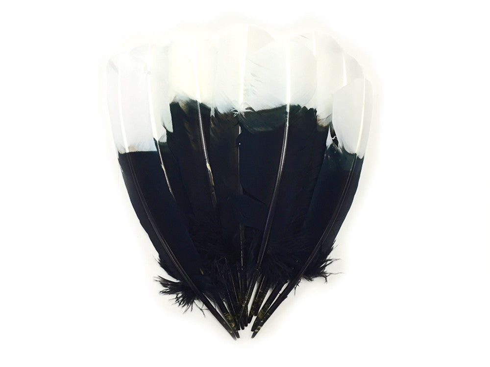 1/4 lbs. - White Tipped Tom Turkey Rounds Black "Imitation Eagle" Wholesale Feathers (Bulk)