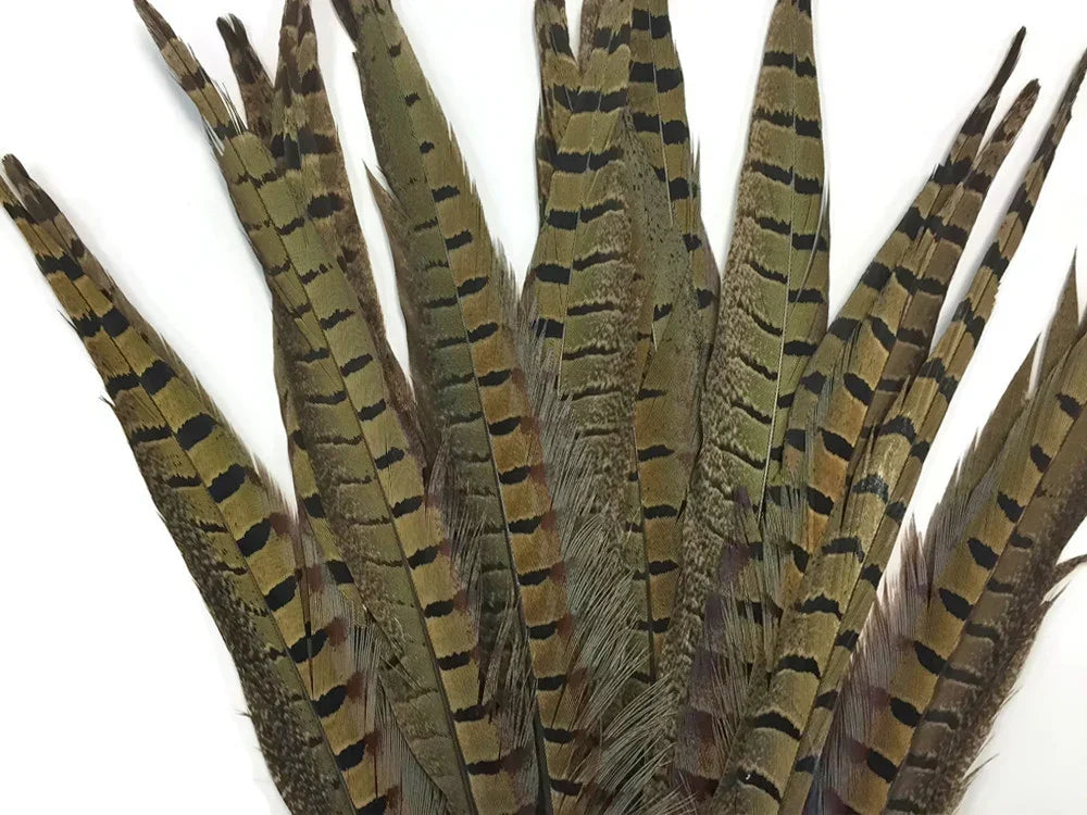 Natural brown striped pheasant feathers for crafts and fashion decor.