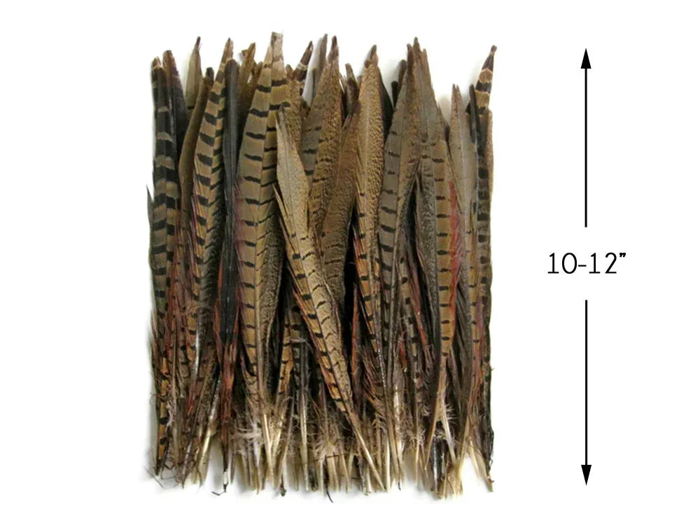 Bundle of 10-12 inch patterned brown feathers for crafts and DIY fashion decor.
