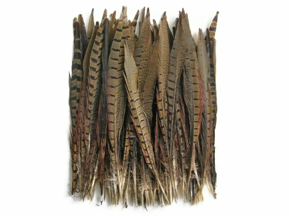 Bundle of natural brown striped feathers for crafts and DIY fashion decor.