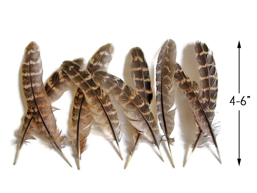 Assorted brown patterned craft feathers, 4-6 inches long for DIY fashion and decor.