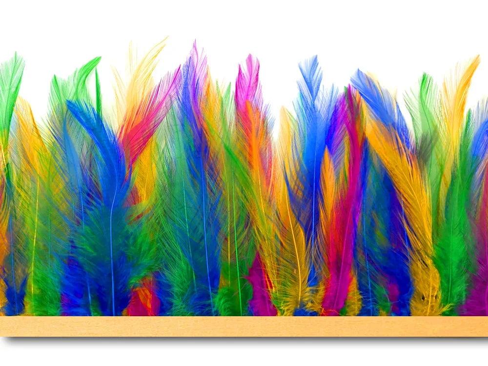Vibrant multicolored craft feathers in rainbow shades for DIY fashion and decor.