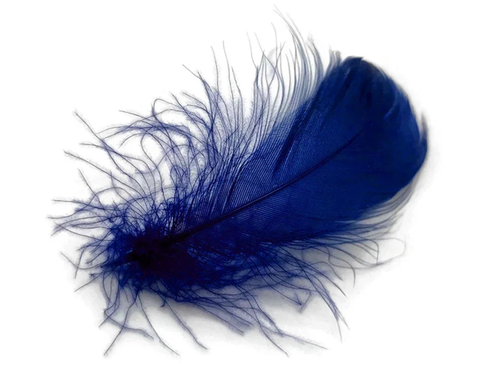 Vibrant cobalt blue craft feather for DIY fashion and décor projects.