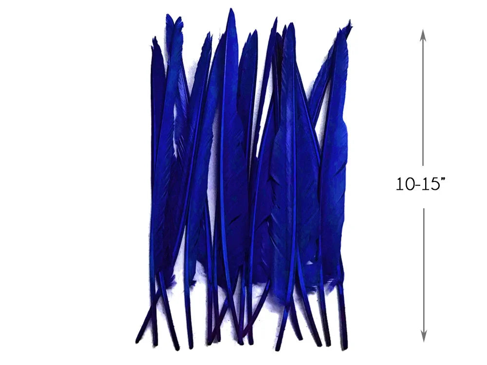 Bundle of vibrant cobalt blue craft feathers, 10-15 inches long for DIY fashion and decor.